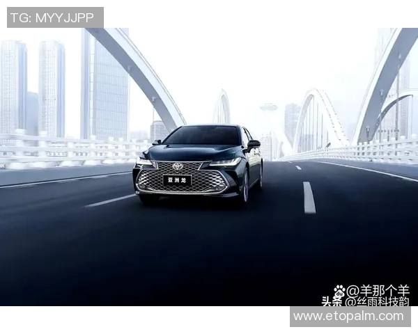 洲际杯积分榜更新武汉篮球队以61分稳居榜首展现强劲实力