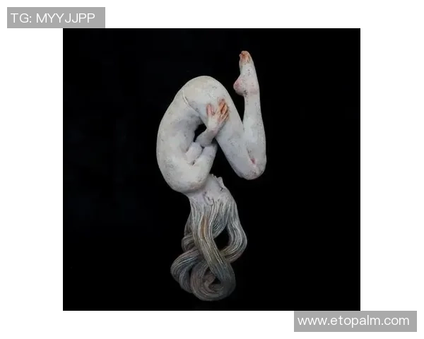 最逵蜗诽咦闱蛟趺垂的奇妙旅程与深刻启示探索人生的意义与价值